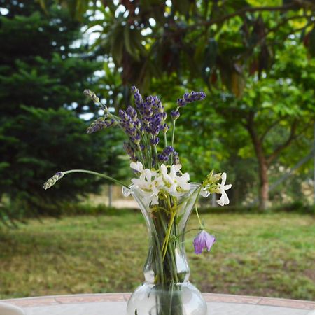Sunny Retreat With A Garden Terrace Private Room Ιωάννινα Εξωτερικό φωτογραφία